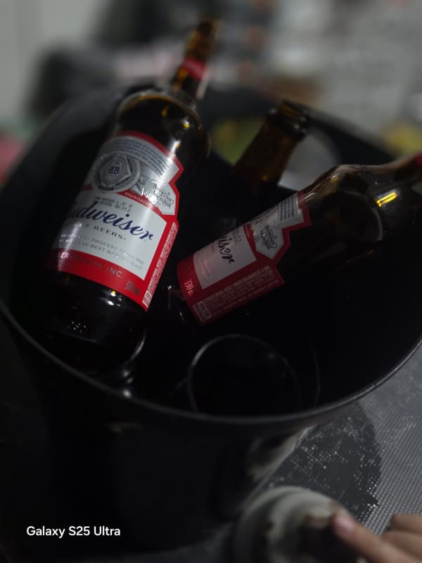 Bar Sauna Reds